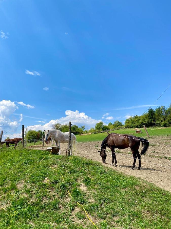 Liptovske Chaty Liptovský Mikuláš Eksteriør bilde